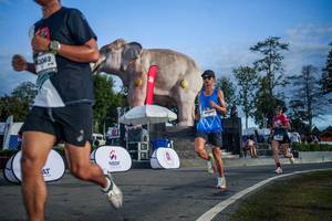 BIB: 
                            <button type="button" onclick="openModal(26541941)" class="btn btn-primary btn-sm float-right btn-popup" data-toggle="modal" data-target=".modal-high-quality">
                        <i class="fas fa-shopping-cart"></i> Add to Cart
                    </button>
                                            <button type="button" onclick="isThisMe(26541941, true)" class="btn btn-success btn-sm float-right btn-popup btn-isme hidden" data-toggle="tooltip" data-placement="bottom" title="นี่คือรูปของคุณใช่ไหม คลิกที่นี่เพื่อเอาเข้าอัลบั้ม">
                        <i class="fas fa-plus"></i> Add to album
                    </button>
                    <button type="button" onclick="isThisMe(26541941, false)" class="btn btn-warning btn-sm float-right btn-popup btn-isnotme hidden">
                        <i class="fas fa-ban"></i> Remove from album
                    </button>